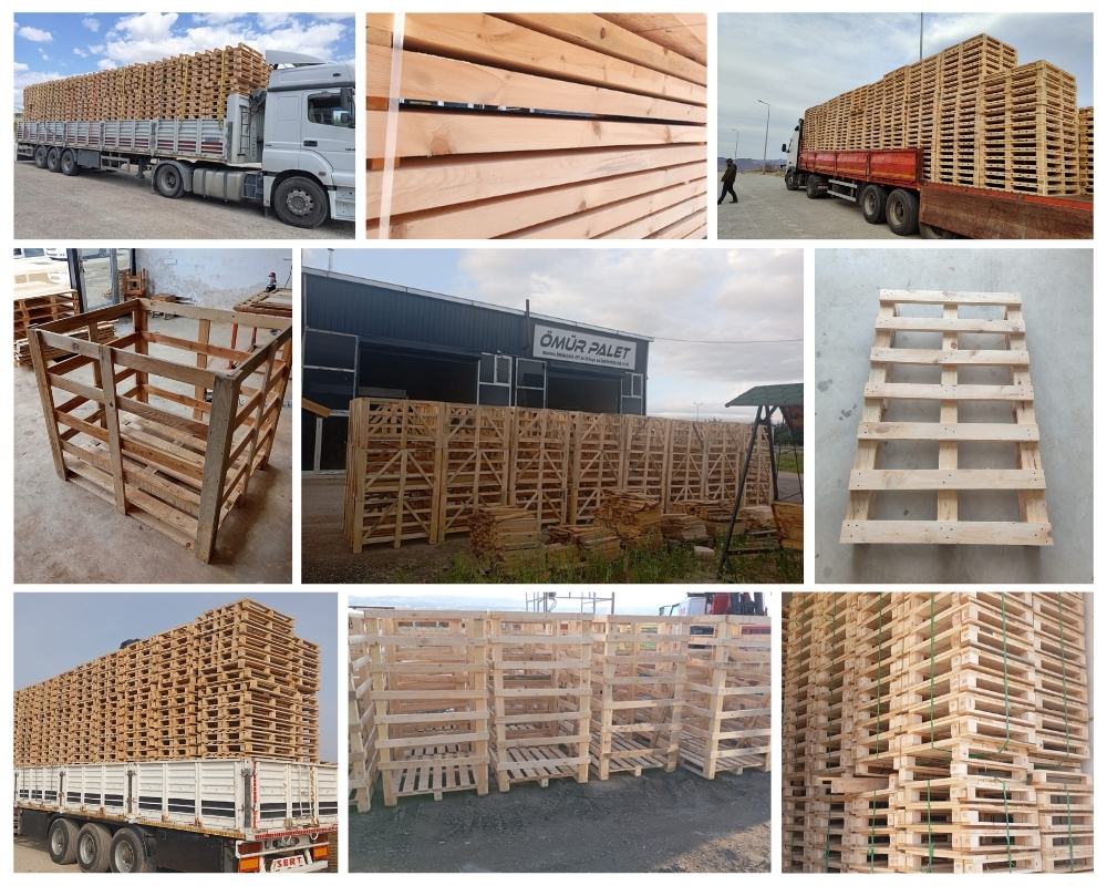 Bolnes Houten Kisten, Europallets Groothandel Kopen